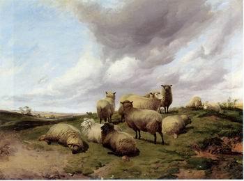 unknow artist Sheep 146 oil painting picture